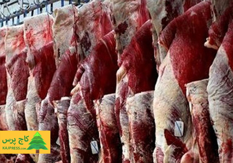 اخبار کشاورزی:  اعلام قیمت گوشت گوسفندی