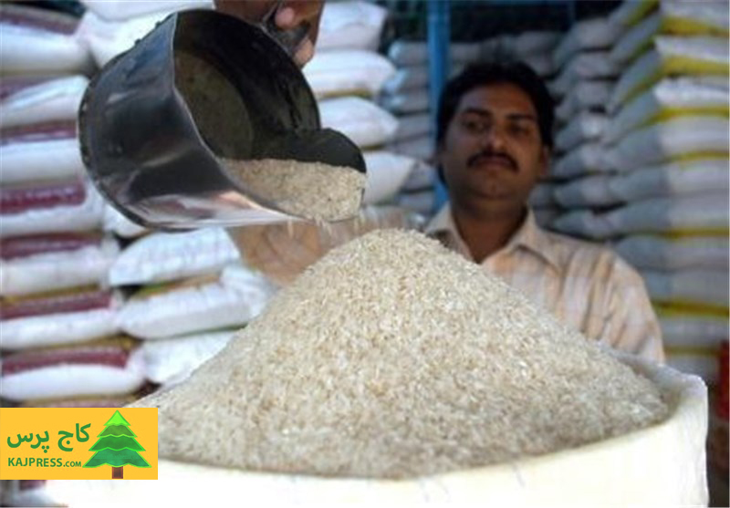 اخبار کشاورزی:  حدود نیمی از صادرات برنج جهان توسط هند انجام می‌شود