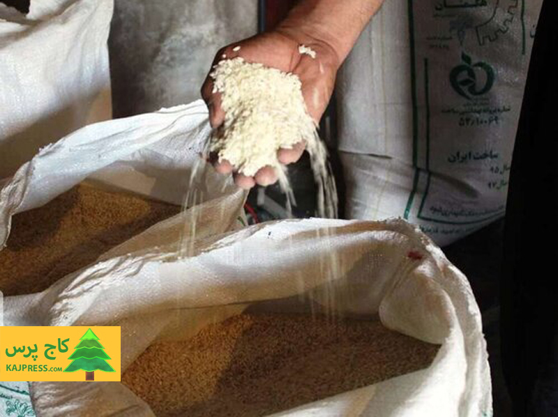 اخبار کشاورزی:  وضعیت پرتلاطم بازار برنج، نیازمند طراحی و تدبیر مناسب