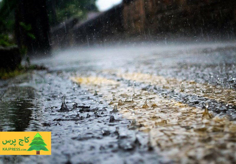 اخبار کشاورزی:  بارش 5 روزه باران در برخی استان‌ها