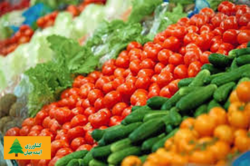اخبار کشاورزی:  جدیدترین قیمت میوه در بازار