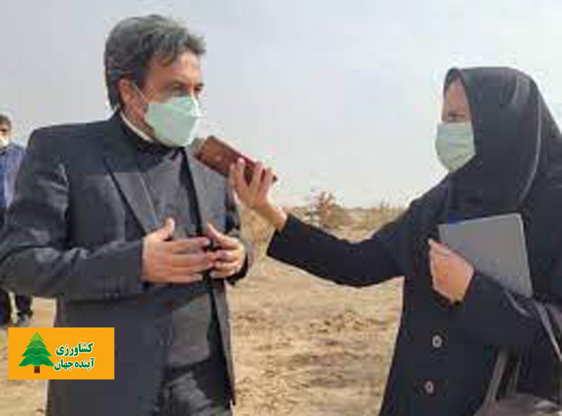 اخبار کشاورزی:  مدیرکل دفتر حفاظت خاک و آبخیزداری خبرداد:  سالانه بیش از 16 درصد فرسایش خاک در ایران داریم