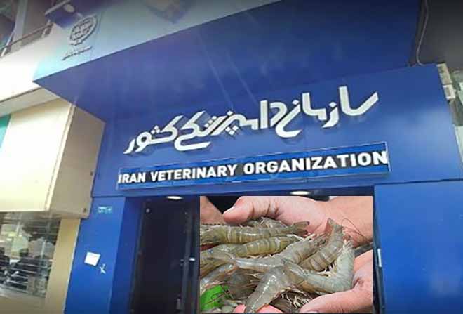 hausse-de-37-de-la-production-de-crevettes-d’élevage-en-iran-en-1404