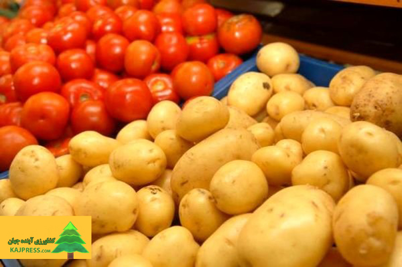 اخبار-کشاورزی-افزایش-قیمت-گوجه-فرنگی-و-سیب-زمینی