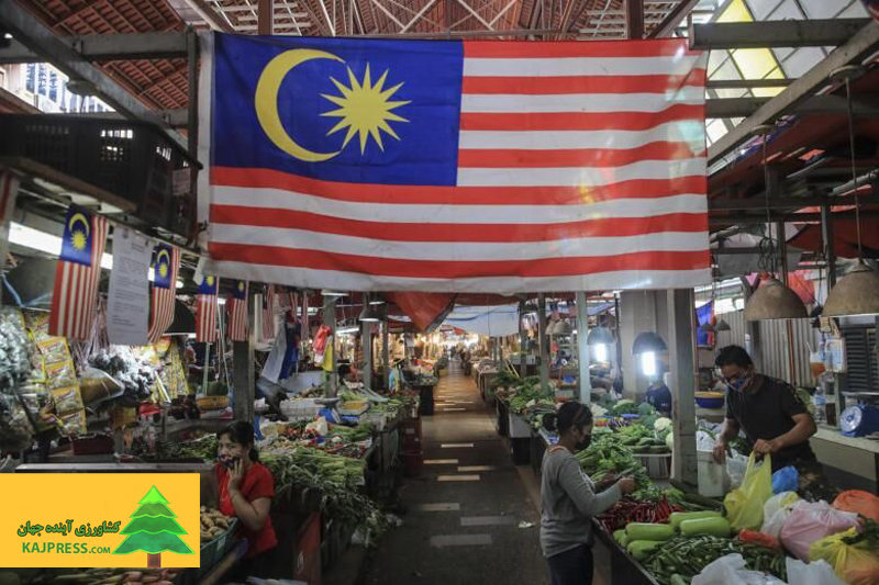 اخبار-کشاورزی-گرانی-و-کمبود-مواد-غذایی-در-مالزی