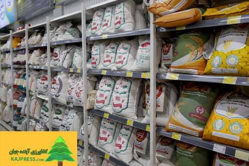 اخبار-کشاورزی-کاهش-۸۳۰-میلیون-دلاری-ارزبری-برنج-طی-یکسال-گذشته-برنج-ایرانی-۹-درصد-ارزان-شد