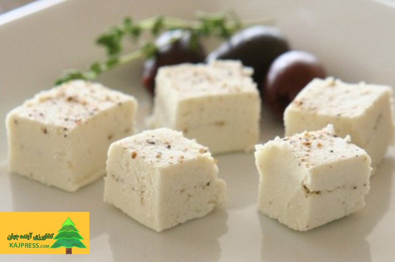 اخبار-کشاورزی-پنیر-لیقوان-میراثی-خوشمزه-در-آذربایجان‌-برندسازی-یکی-از-مهمترین-دغدغه‌های-تولیدکنندگان