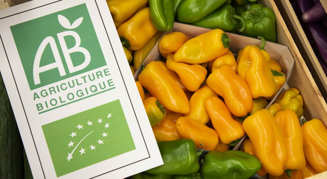 عطر و طعم طبیعی میوه ها و سبزی ها، راز اقبال فزاینده کشت محصولات ارگانیک در اروپا 