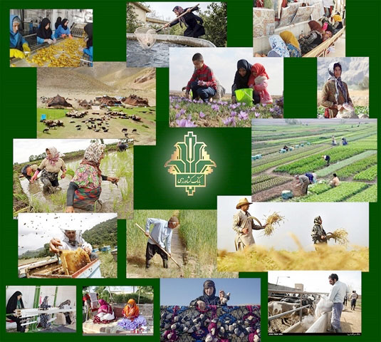 جایگاه-بانک-کشاورزی-از-دیدگاه-حمایت-های-انسان-دوستانه-در-جهت-رونق-و-توسعه-کشاورزی