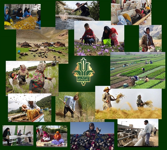 نهایت-انعطاف-پذیری-بانک-کشاورزی-برای-حمایت-از-کشاورزان