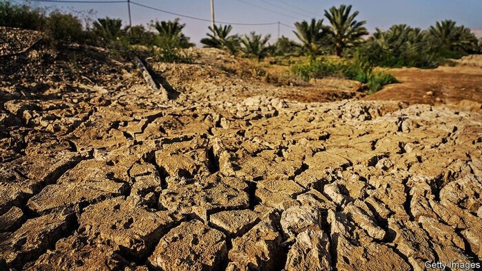اخبار کشاورزی:  تازیانه‌های خشکسالی بر پیکر دشت‌های بوشهر