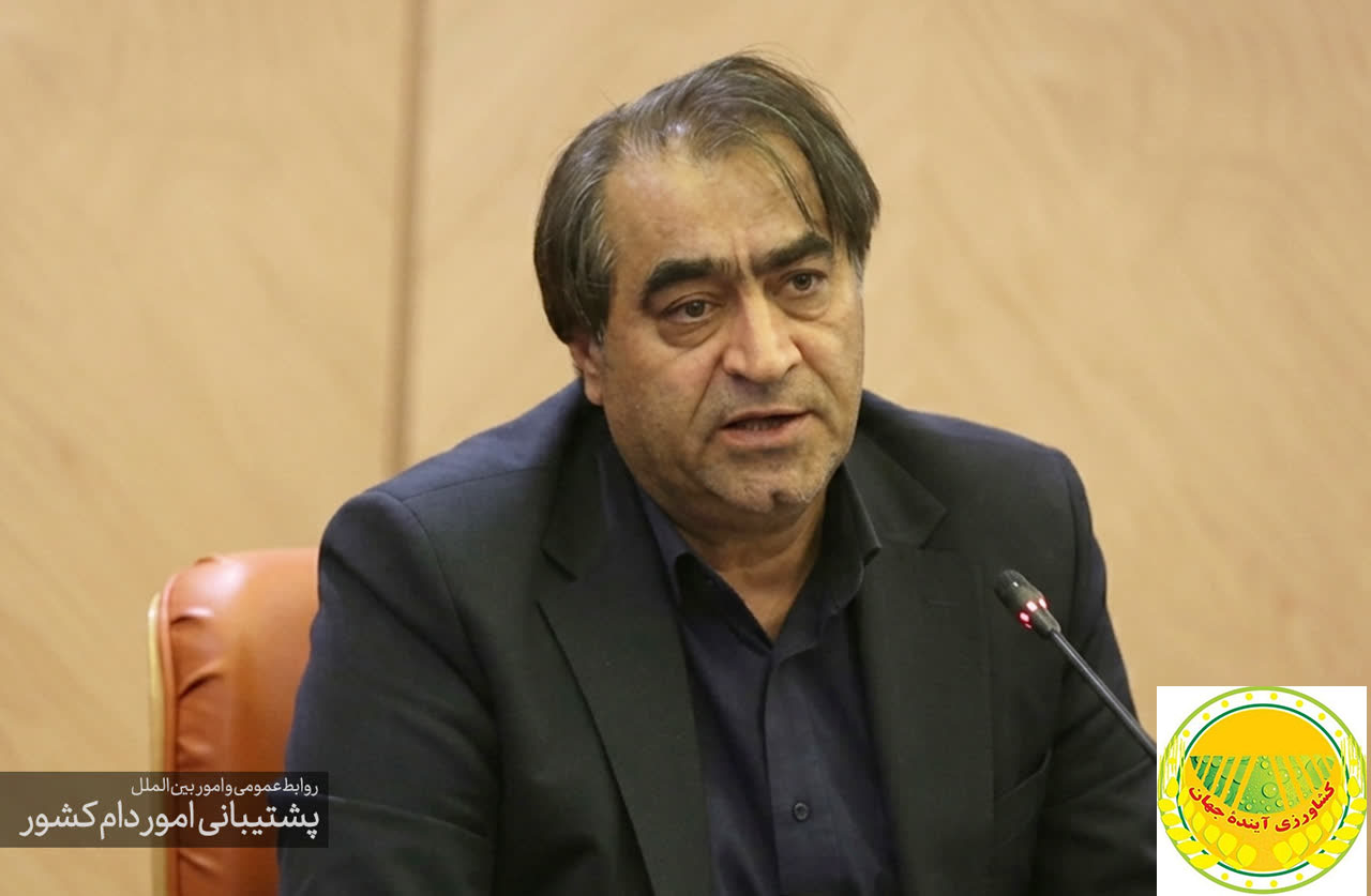 مدیرعامل-شرکت-پشتیبانی-امور-دام-خرید-۳۰-هزار-تن-مرغ-مرحله-دوم-طرح-حمایتی-است-خرید-۲-هزار-تن-مرغ-در-۴-روز