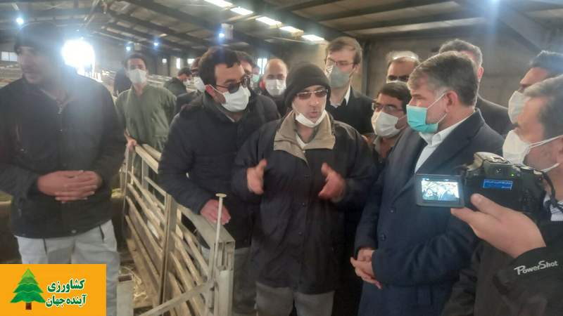 اخبار کشاورزی:  بازدید وزیر جهاد کشاورزی از مرکز اصلاح نژاد دام سبک در زنجان