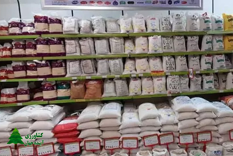 اخبار کشاورزی:  توزیع ماهانه ۳۰ هزار تن برنج تایلندی تا ماه رمضان
