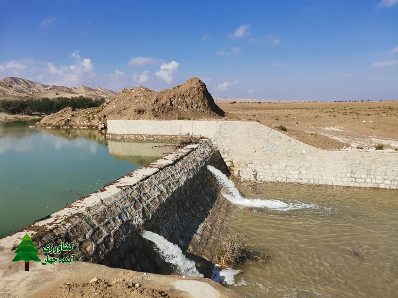 اخبار کشاورزی:  90 درصد س‍ازه‌های آبخیزداری جنوب کرمان آبگیری شد