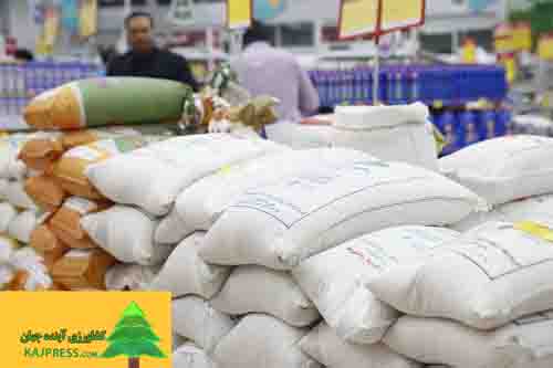 اخبار-کشاورزی-کاهش-بیش-از-۳۰-درصدی-قیمت-برنج-ایرانی-نسبت-به-سال-گذشته