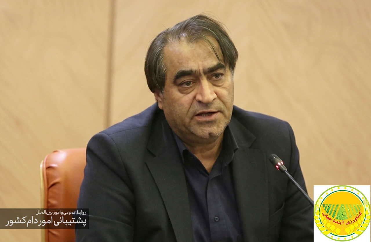 آغاز-مرحله-دوم-خرید-حمایتی-مرغ؛-هدف‌گذاری-خرید-۳۰-هزار-تن-برای-مهار-افت-قیمت-جمع‌آوری-روزانه-تا-۵۰۰-تن-مرغ-مازاد-با-اعزام-بازرسان-به-۳۲-استان