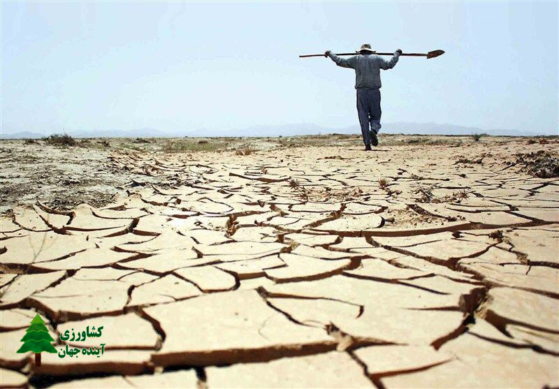 اخبار کشاورزی:  کمیسیون اقتصادی دولت مصوبه مقابله با پدیده خشکسالی را اصلاح کرد
