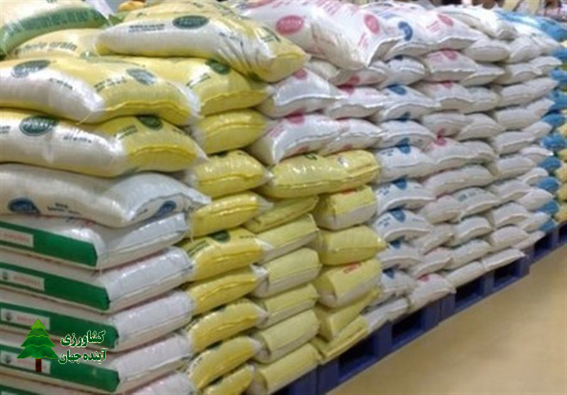 اخبار کشاورزی:  توزیع ۱۰۰ هزارتن برنج وارداتی برای کنترل قیمت‌ها