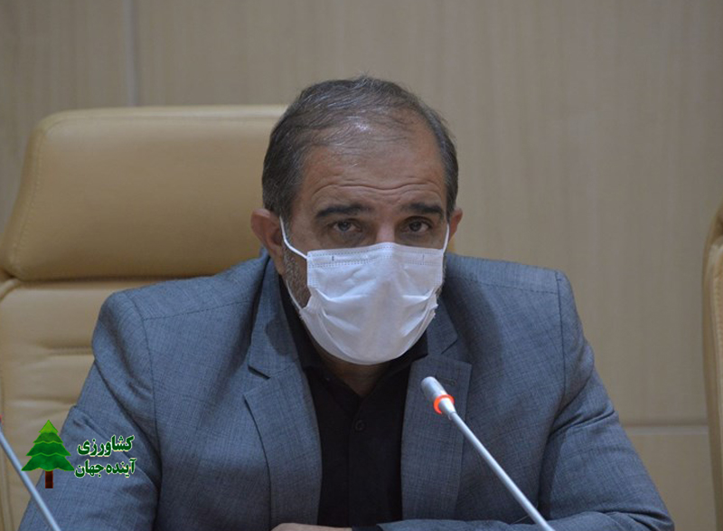 اخبار کشاورزی:  رئیس کمیسیون کشاورزی مجلس خبرداد:  دولت هنوز برای اصلاح ارز ۴۲۰۰ آماده نیست