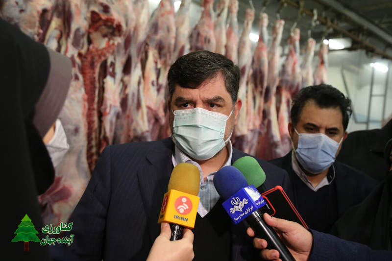 اخبار کشاورزی:  مدیرعامل شرکت پشتیبانی امور دام کشور اعلام کرد:  ذخیره‌سازی دام زنده جایگزین گوشت منجمد می‌شود