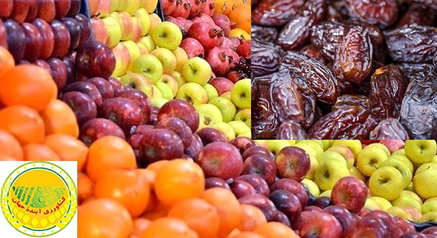 توزیع-میوه-ایام-پایانی-سال-از-۲۰-اسفند-روانه-۷۰-تن-خرما-به-بازار