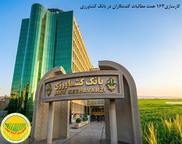 اخبار-باک-کشاورزی-کارسازی-۱۶۳-همت-مطالبات-گندم‌کاران-در-بانک-کشاورزی