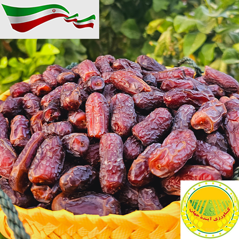 اخبار کشاورزی ایران به زبان فرانسه: L'Iran se classe troisième producteur mondial de dattes 395 millions de dollars de recettes en devises provenant des exportations de dattes iraniennes