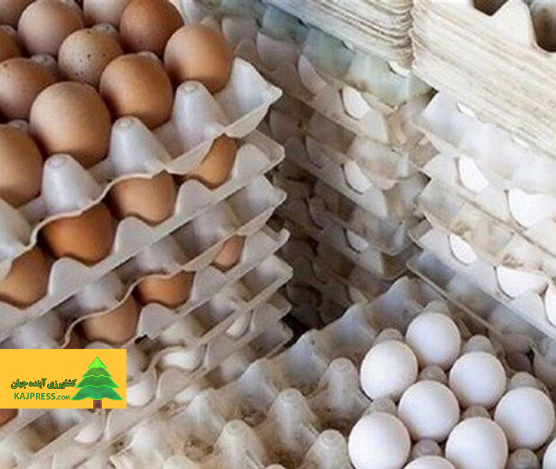 اخبار-کشاورزی-قیمت-تخم‌مرغ-شانه‌ای-۷۰-تا-۷۵-هزار-تومان-است