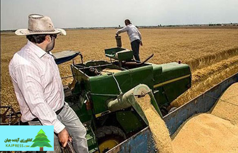 اخبار-کشاورزی-صادرات-از-اوکراین-شتاب-گرفت