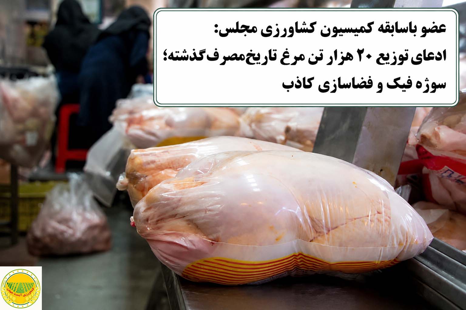 عضو-کمیسیون-کشاورزی-مجلس-پشت‌پرده-یک-ادعای-جنجالی-را-برملا-کرد؛-رد-قاطع-ادعای-توزیع-مرغ-تاریخ‌مصرف‌گذشته-سازمان-بازرسی-سلامت-کالاها-را-تأیید-کرد؛-رفتار-رئیس-کمیسیون-کشاورزی-خلاف-آیین‌نامه-و-تخریب-اعتماد-عمومی-بود