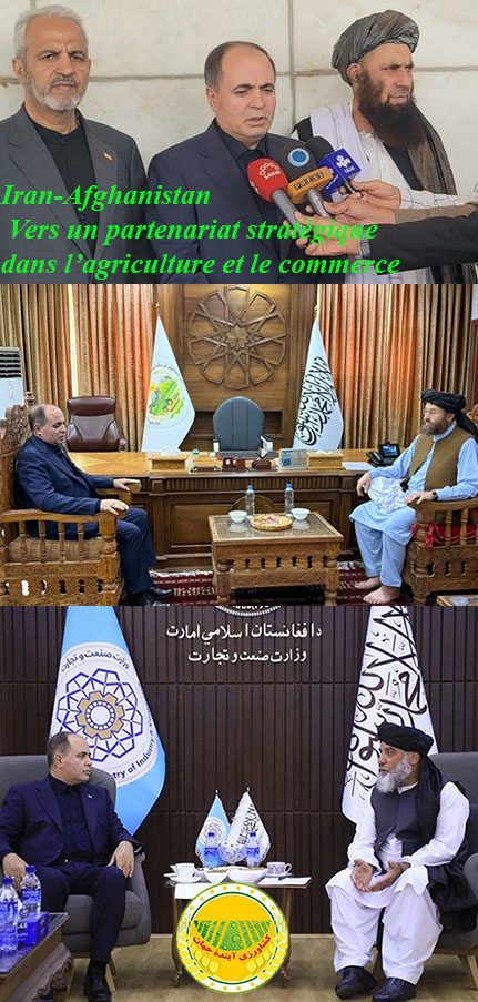 iran-afghanistan-vers-un-partenariat-stratégique-dans-l’agriculture-et-le-commerce