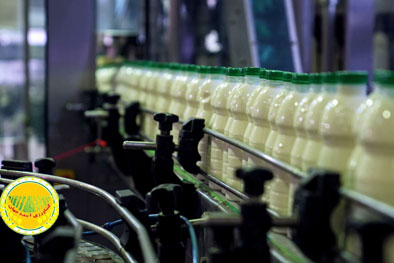 تب-برفکی-و-کمبود-نهاده؛-دو-عامل-گرانی-شیرخام