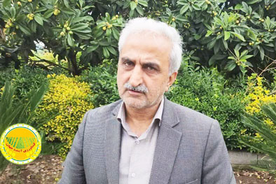 جهش-تولید-چای-داخلی-با-تسهیلات-جدید-به-باغی