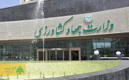 جهاد