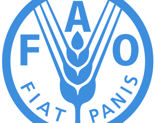 FAO to Sign Contract with Iran’s Agriculture Ministry